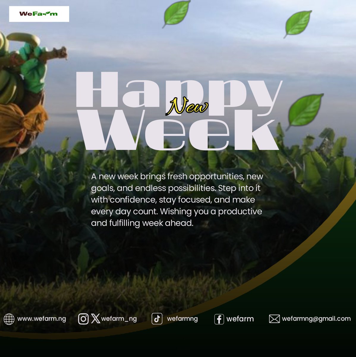 wefarm_ng's tweet photo. Happy new week
#fypシ゚viral #agriculture #x #tech https://t.co/5XaDydmIgp