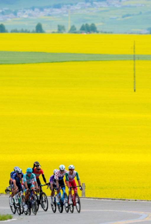 ChinaEmbEritrea's tweet photo. The 25th "Tour of Magnificent Qinghai" International Road Cycling Race recently kicked off in China’s Qinghai Province.  154 cyclists representing 22 teams from 12 countries and regions have been chasing the wind and moving forward in a sea of golden rapeseed flowers, with the endless waves of golden flowers behind them.

On the Third Stage of the Race, XDS Astana Team’s defending champion Henok Mulueberhan from Eritrea🇪🇷claimed 1st place following a breathtaking sprint finish. Congratulations and keep it up!