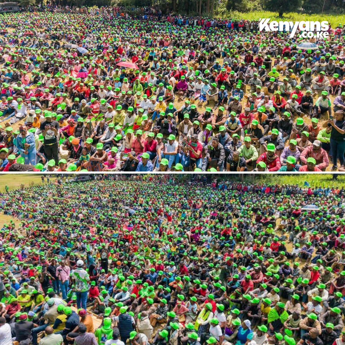Kenyans's tweet photo. DCP holds final rally for its candidate Douglas Kamau Waweru in Arboretum, Ol Kalou https://t.co/854tq6wW0K
