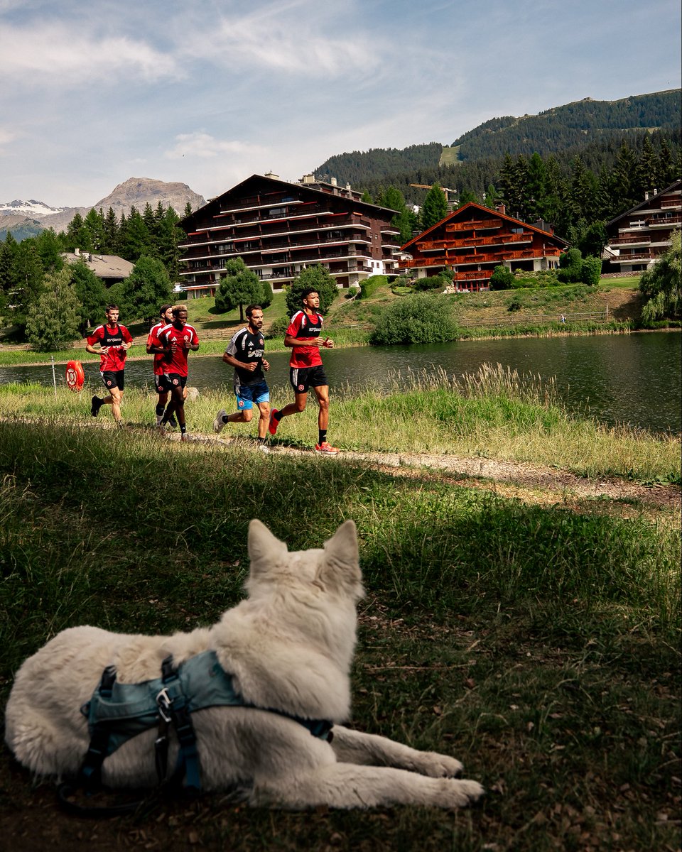 FCAnnecy's tweet photo. 📸 Les premiers efforts dans un décor de carte postale. 🏞️🏃‍♂️ https://t.co/vvIPTdwF3t