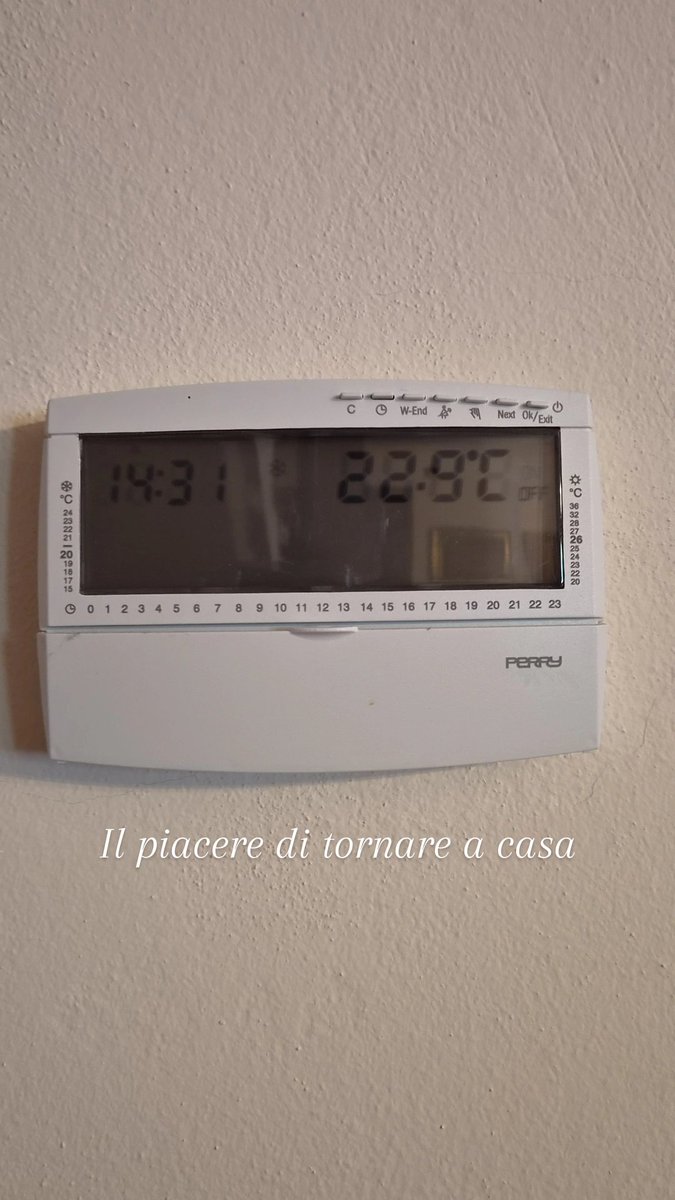 Tommaso tweet media