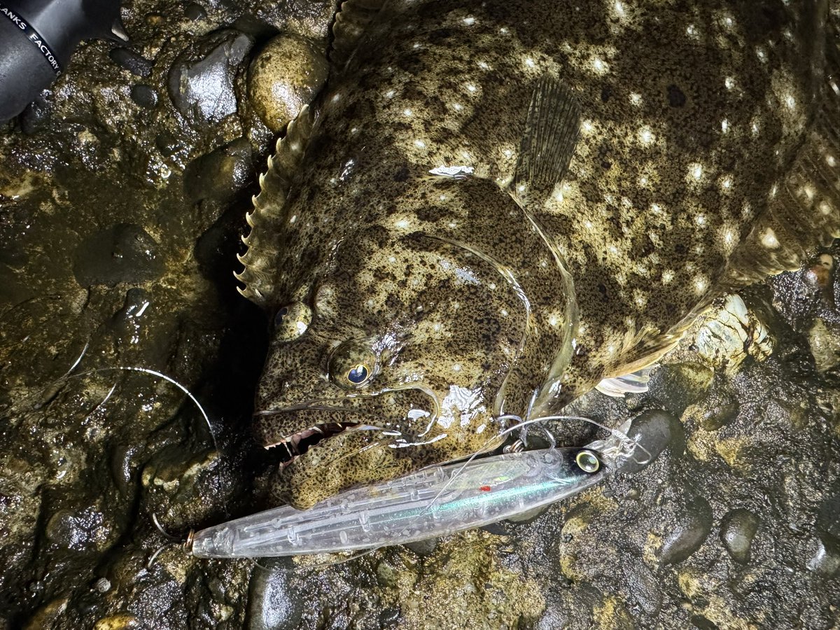 AKI35414004's tweet photo. 退勤フィッシング
1週間ぶりの釣りは40くらいのソゲのみ。
ゴミ多すぎて釣りにならん💢
#longin
#ﾊｲｽﾀﾝﾀﾞｰﾄﾞ120 https://t.co/iomjEsGEIE