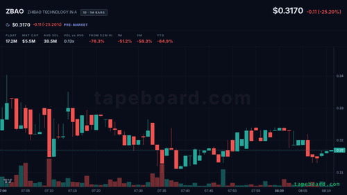 Sebastian2qls's tweet photo. $ZBAO up 7% premarket to 0.317 off the 0.42 close, already almost 5M shares through before the bell. these thin sub-1 names go vertical fast then bleed out just as quick once RTH volume shows. no read yet on what's got it bid. bounce or fade at the open? https://t.co/24EAqbG8xL