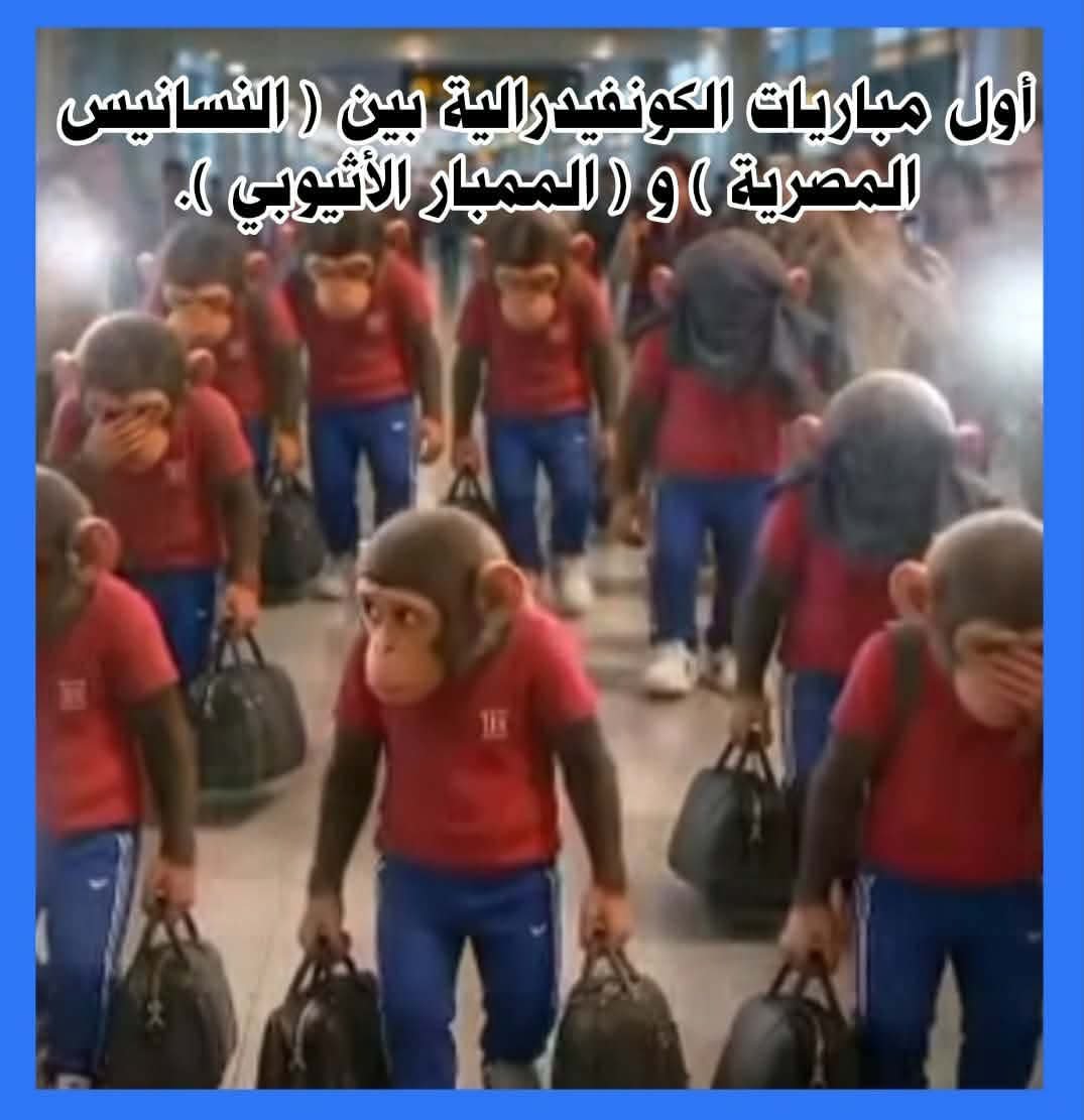 Fou1611's tweet photo. @AlAhlyTV هههههههههههه 
ده علي اساس انكوا كنتوا مقطعين الفرق ومبهدلنهم ، ياراجل وانتوا كنتوا حصالة البطولة والكل بياكل عليكوا عيش وحلاوة ولا انت نسيت انك خارج منها بفضيحة وهزايم رايح جاي ، انت بتكلم ناس مبرشمة ولا ايه ...
مبروك هتلعبوا في الكونفدرالية https://t.co/GR1TDczehm