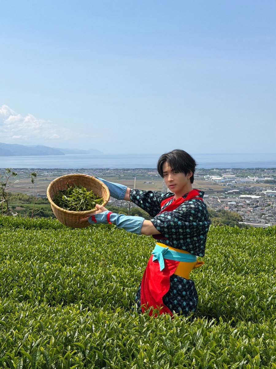 fantastics_live's tweet photo. FANTASTICS LIVE TOUR 2026
“SUNFLOWER” 🌻

#ファンパ にて
澤夏&amp;堀夏が挑戦したお茶摘み🍵

"ファン茶スティック"として
静岡公演の来場者全員にプレゼント🎁

お楽しみに✨

NEXT SHIZUOKA
あと5日!!🌻

🎫 https://t.co/bJvuURLziP

#FANTASTICS
#SUNFLOWER #SF_FNT https://t.co/RcVwsVKv9w