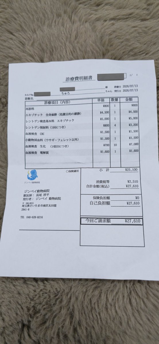 daichisugiyasu's tweet photo. ちゅろさん帰宅しました
健康診断の結果
とっても健康優良児でした👍🌟
歯が良くなって体重が増えたから
肥満が心配だったけど
ぜんぜん問題なかったです
甘いオヤツとかあげてないしね
そして異常も治療も無かったから
保険も効きませんでした
でも保険を使わないって
とっても良いことなんですよね
ちゅろさん偉いえらい💮