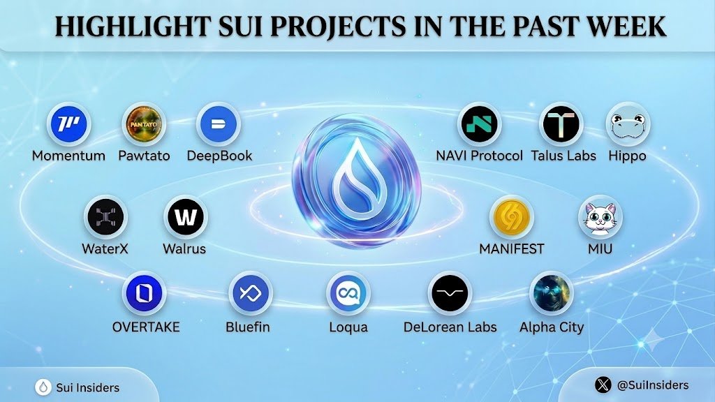 Sui Insiders💧 tweet media