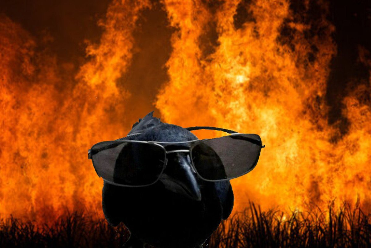 doczandik's tweet photo. Me watching the Irminsul burning. https://t.co/iD71fiVOje