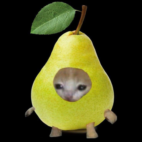 PearCatPF's tweet photo. Bond soon for the $PEARCAT https://t.co/iWb6TdQ8cu