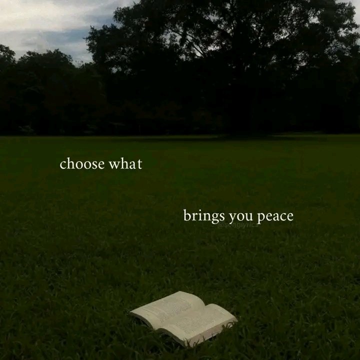 EmmanuelBA39631's tweet photo. choose what brings you peace. https://t.co/YLT68EY32x