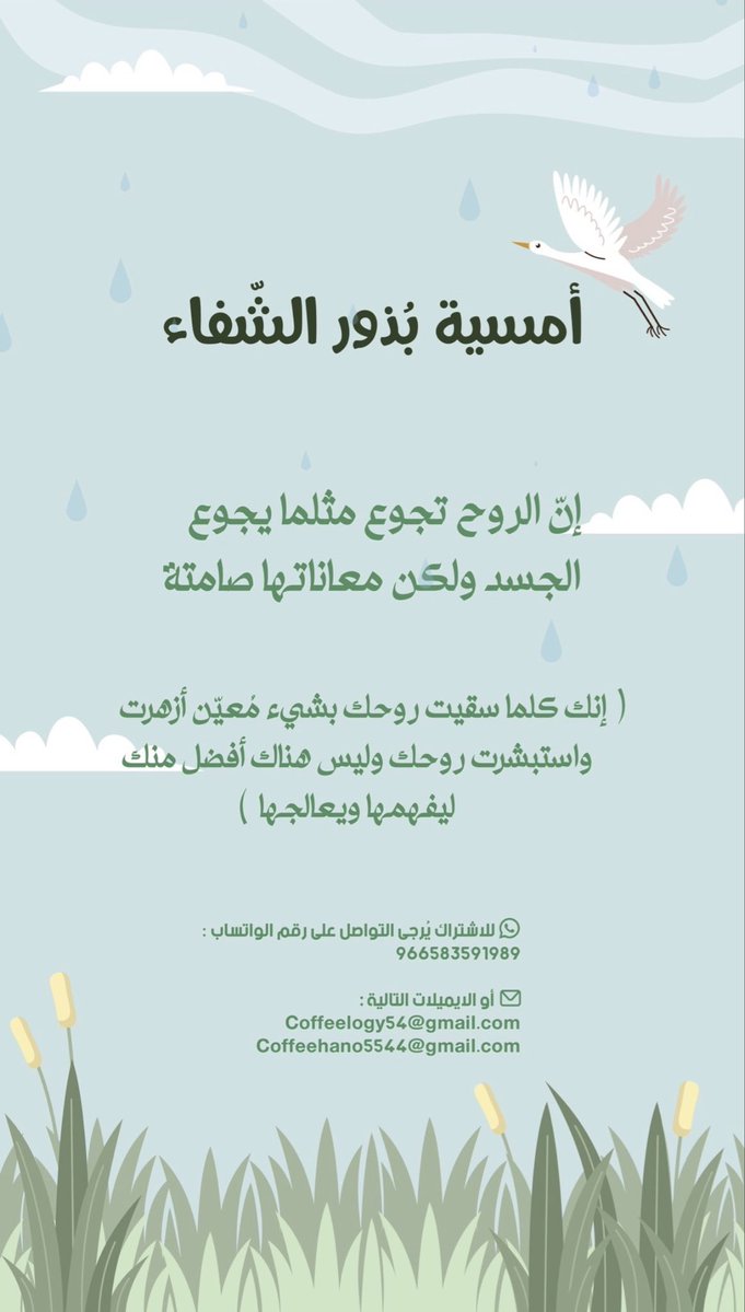 قهوة tweet media