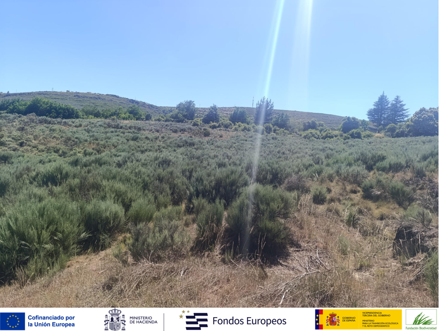 CTAG_Materials's tweet photo. El equipo de #BIOTERLab visitó #Sanabria y #OBarcoDeValdeorras para avanzar en los trabajos de caracterización territorial del proyecto.
Sobre el terreno analizamos recursos agroforestales, condiciones ambientales y el potencial de futuras zonas piloto.
@Fbiodiversidad https://t.co/Fc5sfrwPVi