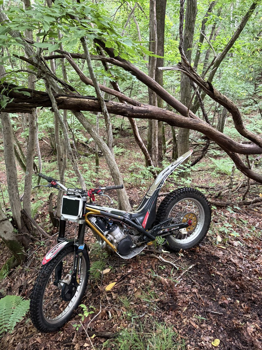 wr250fkon2's tweet photo. 蒸し暑いね https://t.co/InT4rppN6v