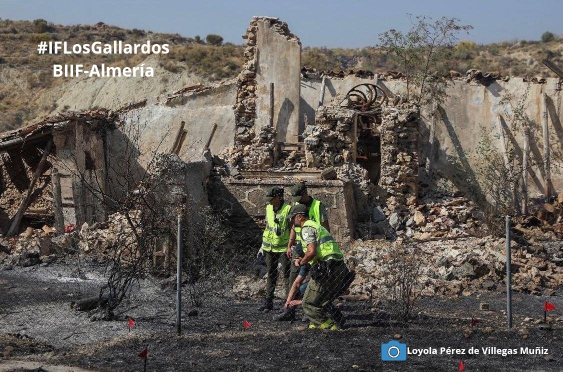 aamaa_es's tweet photo. @AAMM_And Especialmente queremos trasladar nuestros ánimos y enhorabuena a los/las compañeros/as de la #BIIF #Almería por la impecable investigación que están llevando a cabo en el  #IFLosGallardos.

#AAFFMM
#AgentesMedioambientales
#PoliciaJudicial
#AgentesDeLaAutoridad https://t.co/ddeWw5WyhR