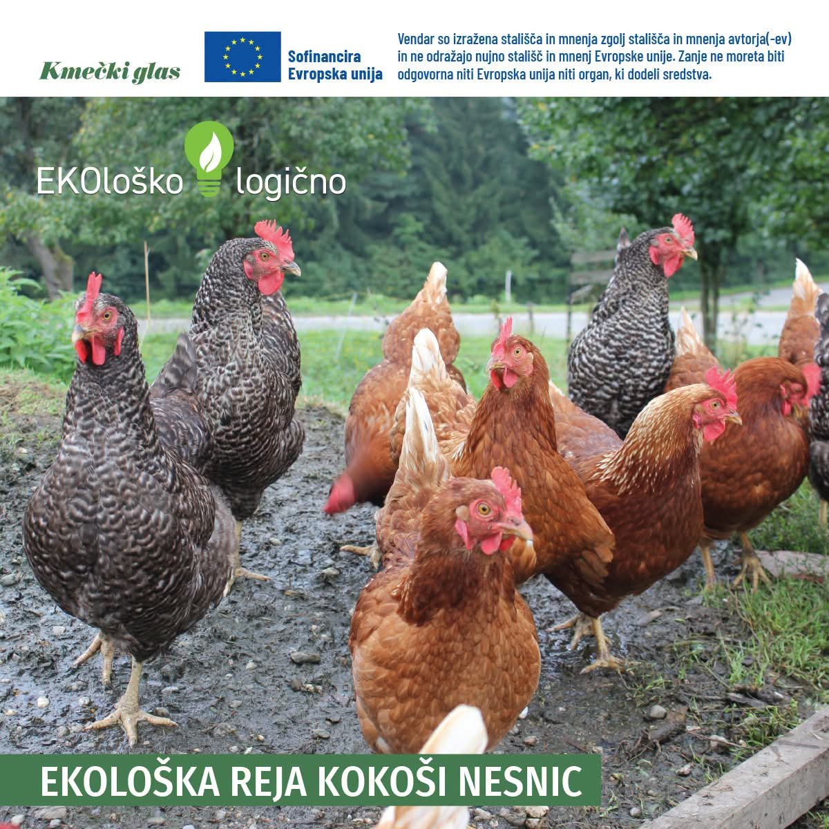 Kmečki glas tweet media