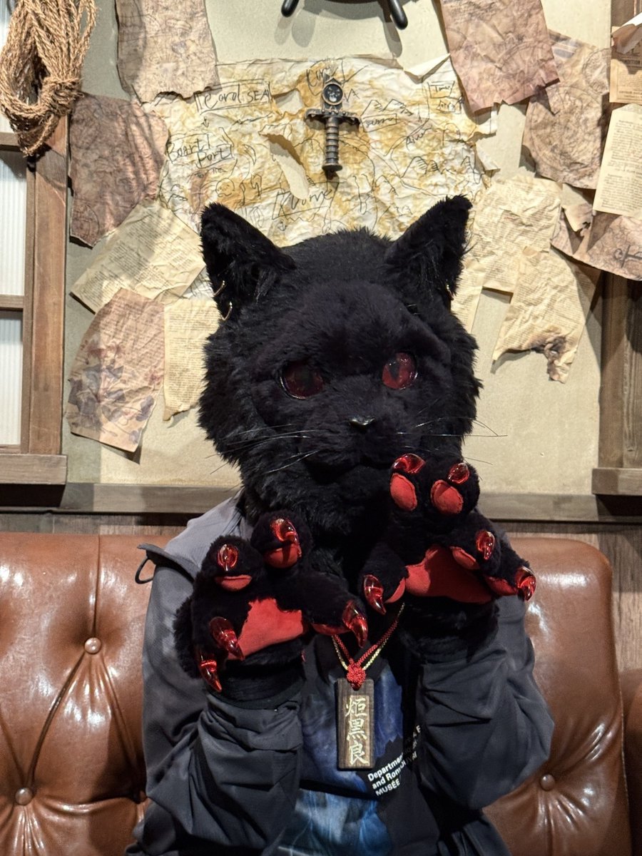 Za96Cat's tweet photo. 是非黒地に赤い肉球で！ https://t.co/eVuAubKrxJ