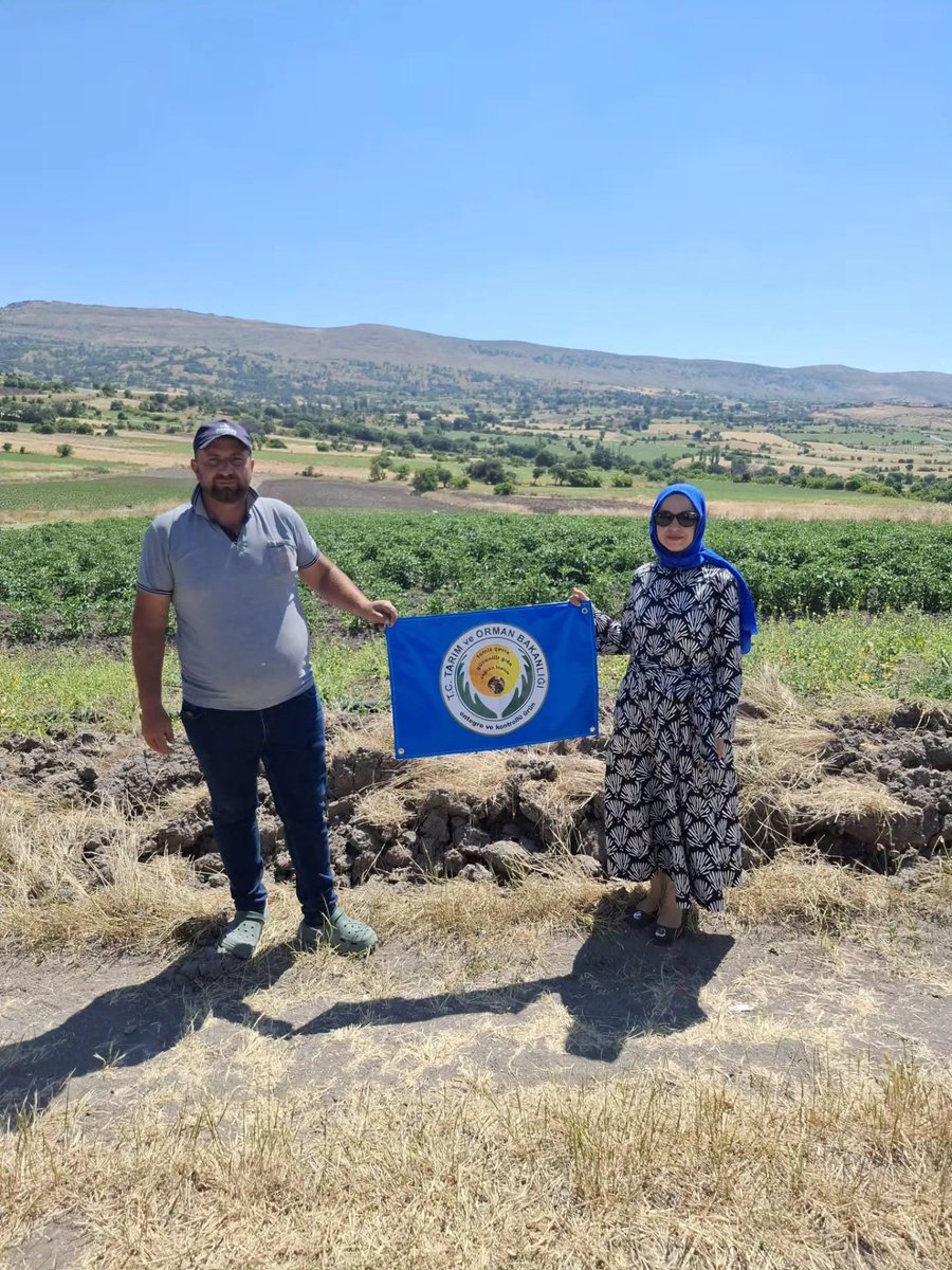 ankaratarim's tweet photo. limizde domates üretim alanlarında domates güvesi takibi amacıyla feromon tuzaklar kullanıyoruz.
Üretim sürecini üreticilerimizle beraber entegre ve kontollü bir şekilde yürütüyor, olası zararları önlemek için birlikte çalışıyoruz.
#domates #feromon #eküy https://t.co/MIW9n25xhD