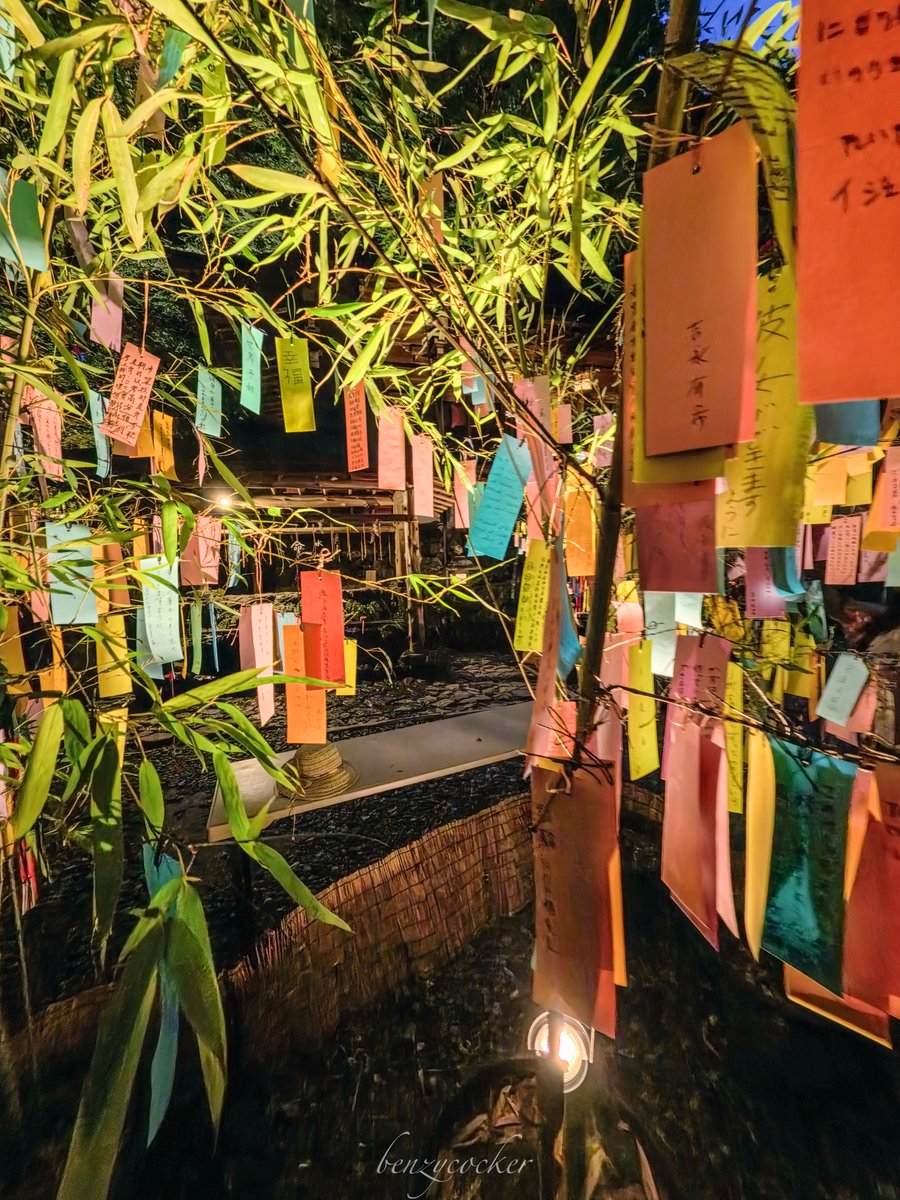 benzycocker's tweet photo. 貴船神社で始まった「七夕笹飾りライトアップ」。 https://t.co/RbabcXsDnN