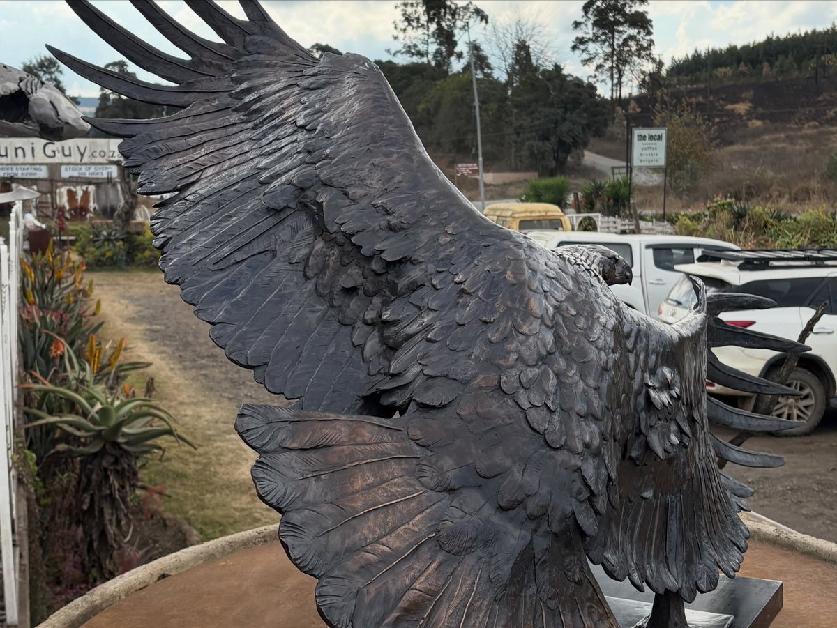 BrandonBronze's tweet photo. Just completed a very smooth and productive long round trip to the foundry. 🛻

We  attached a new base to my life size eagle which I delivered to the Platform Gallery in Lions River.🦅

I was astounded how it came to life in an outdoor and natural light setting. 👊🙏 https://t.co/w25eNDeaNl