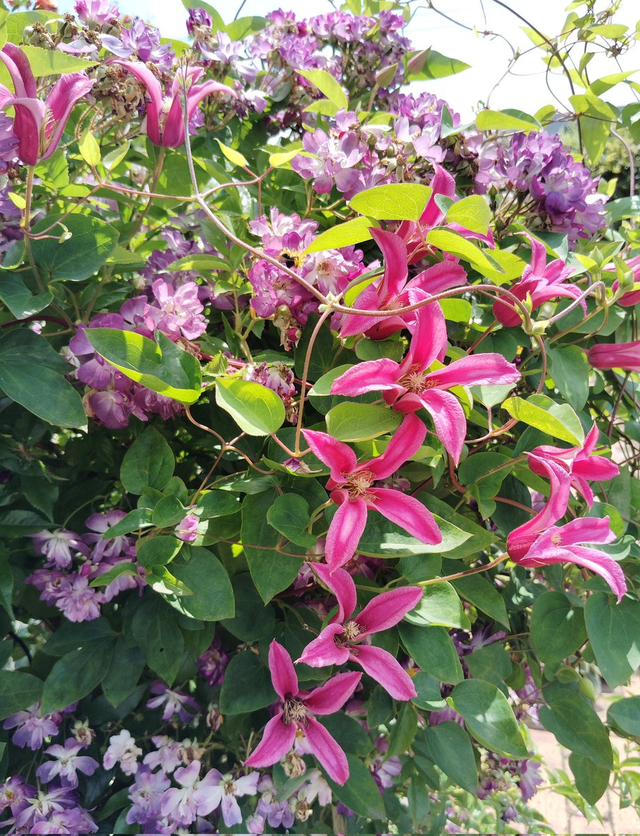 おつ flower✨️ 月曜日の疲れをしっかり癒しましょう♪