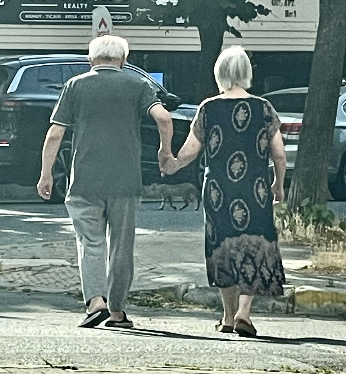 ErcanSeki's tweet photo. İyi günde, kötü günde, hastalıkta, sağlıkta, ölüm bizi ayırıncaya dek... 

Diyerek tuttuğu eli

Bir ömür boyu bırakmayanlara
bir alkış lütfen👇 https://t.co/gpvRU2YX00
