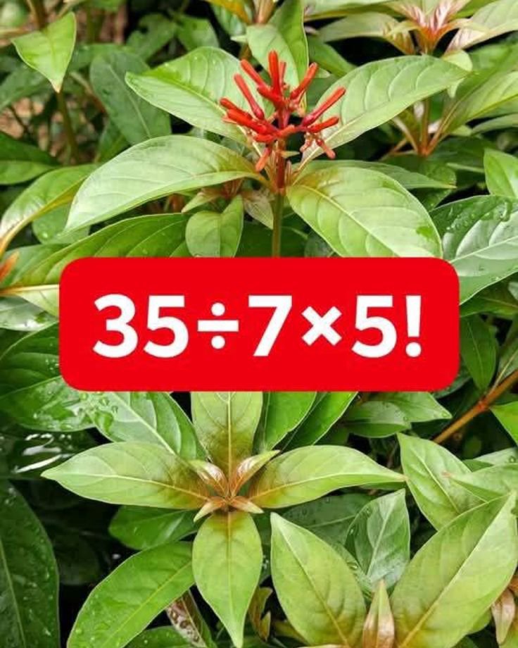 itsmyliffe2004's tweet photo. If you know maths rule it's not difficult for you https://t.co/ubLSmUnGcq