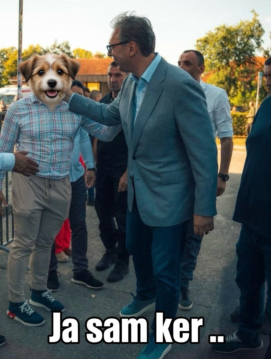 StarcebicG's tweet photo. OVO JE JANKO , JANKO JE KER .

   NE BUDI KAO JANKO . . . . . . https://t.co/GZMhrNgefw