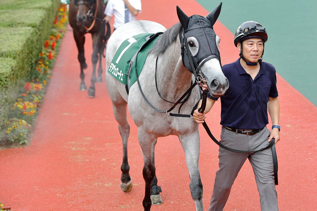 Mickey_Orfe_'s tweet photo. 2026.07/05(日) 小倉11R GIII 北九州記念

デアヴェローチェ号

#小倉競馬 #北九州記念 #デアヴェローチェ https://t.co/AJkkjSXpt3