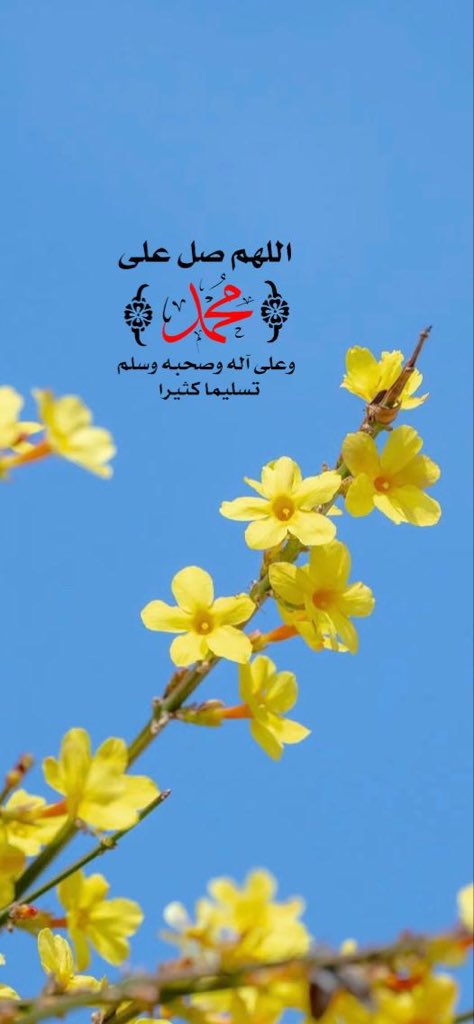 flammable29's tweet photo. صلوا عليه ﷺ♥️ https://t.co/sWZZiZXVN5