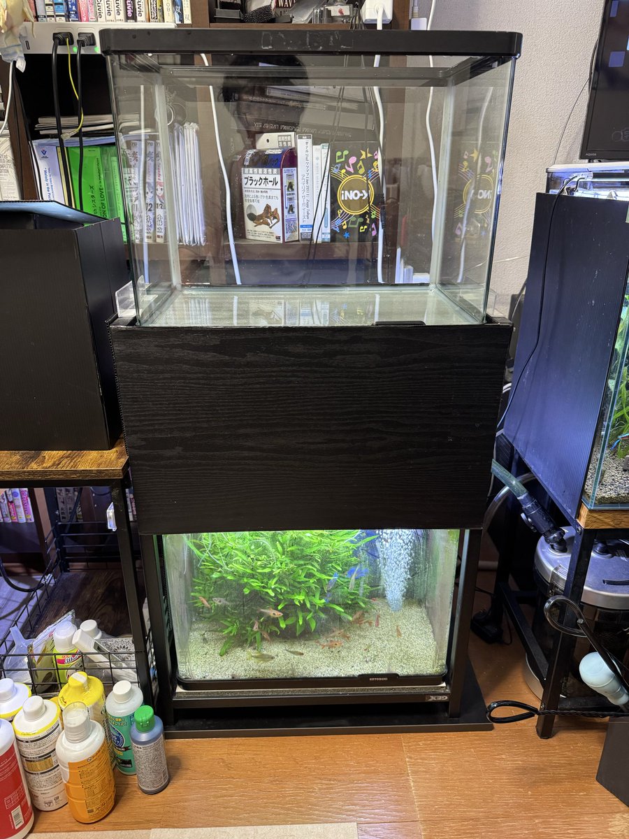 上の水槽サイズアップして周辺機器買い替えも完了。 下の水槽は