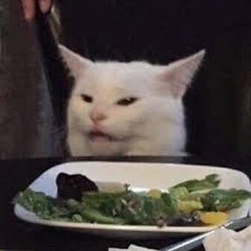 thedefimetro's tweet photo. $smudge 

6HFTqjNkzEgmY7Sb62qNrBqtZAAeFoiGY7tpb2fAzCPi

One of the funniest and most famous cat memes out there.

It's crazy how this hasn't bonded yet. Sub 5k Gem with a crystal-clean chart.

Oldest on pumpfun, send it bois. 😻 https://t.co/umkrDsXKMP