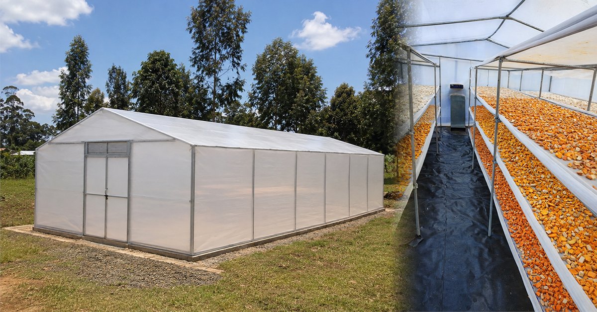 fspnAfrica's tweet photo. 🚨 Nearly 600 million people fall ill from unsafe food every year.
Our latest blog explores key insights from the #WorldFoodSafetyDay Symposium 2026, on how innovations like solar drying are strengthening #FoodSafety across Africa.
📖 Read more:https://t.co/T8xLdhPHz7 https://t.co/EzxnkFaGED