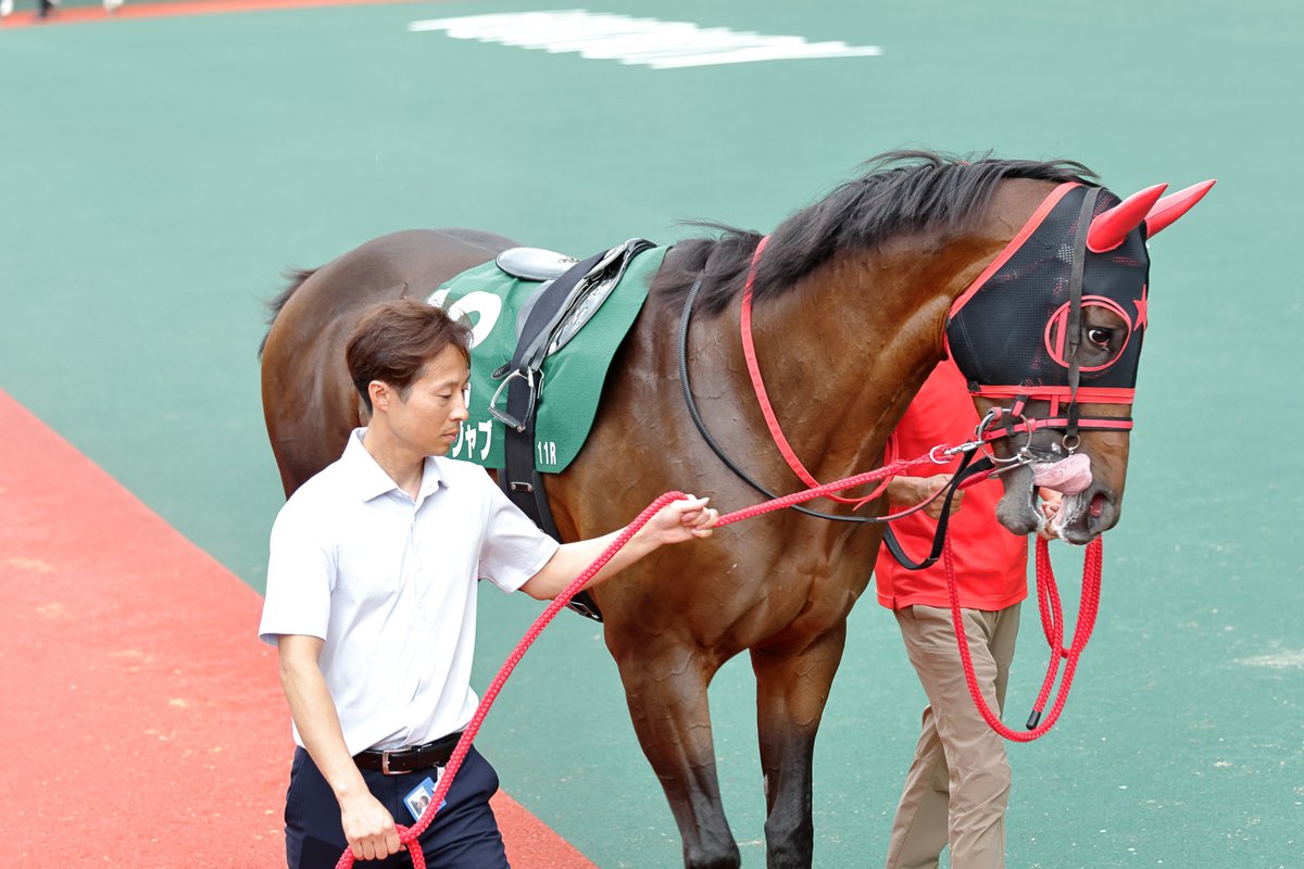 Mickey_Orfe_'s tweet photo. 2026.07/05(日) 小倉11R GIII 北九州記念

フリッカージャブ号

#小倉競馬 #北九州記念 #フリッカージャブ https://t.co/8U5k7yAmoO