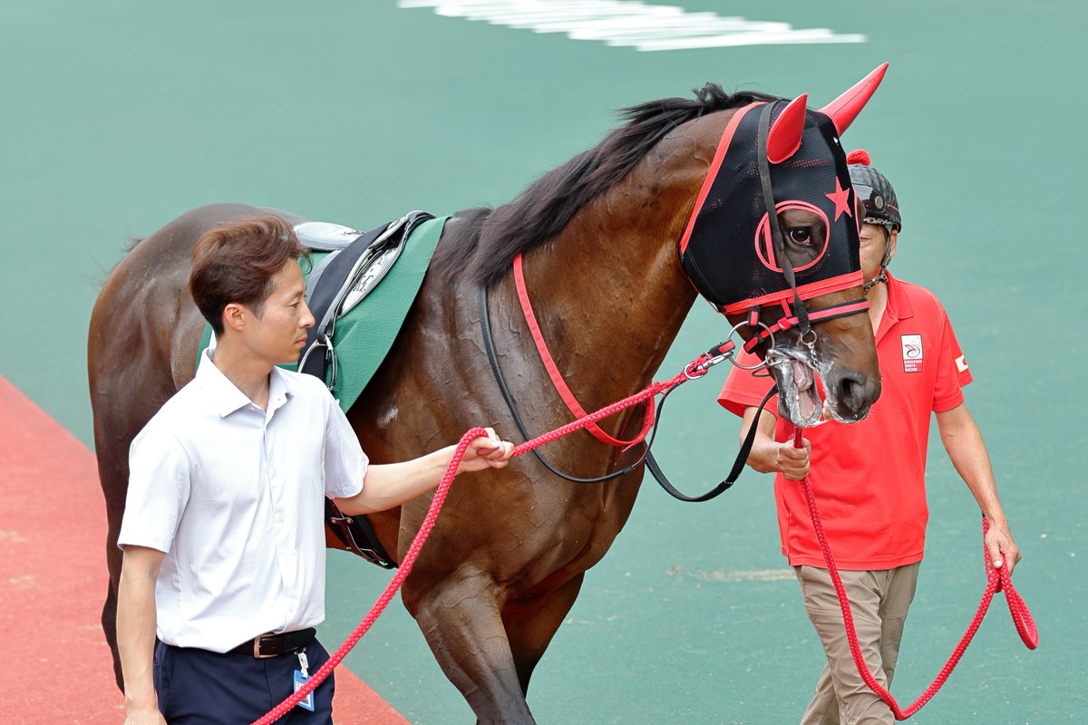 Mickey_Orfe_'s tweet photo. 2026.07/05(日) 小倉11R GIII 北九州記念

フリッカージャブ号

#小倉競馬 #北九州記念 #フリッカージャブ https://t.co/8U5k7yAmoO