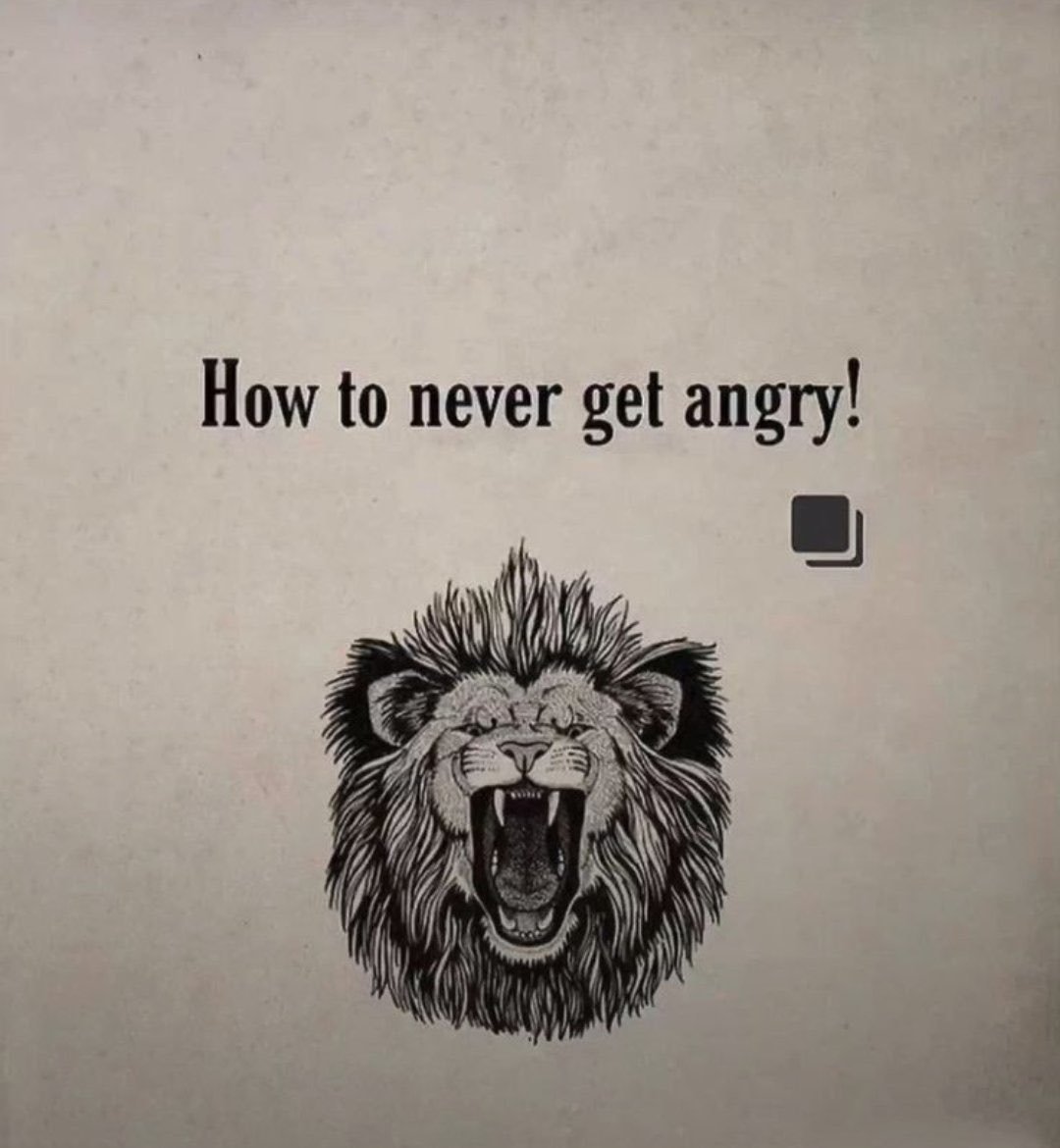Masculine_Pulse's tweet photo. HOW TO NEVER GET ANGRY!

//THREAD// https://t.co/AJNY21Eq1M