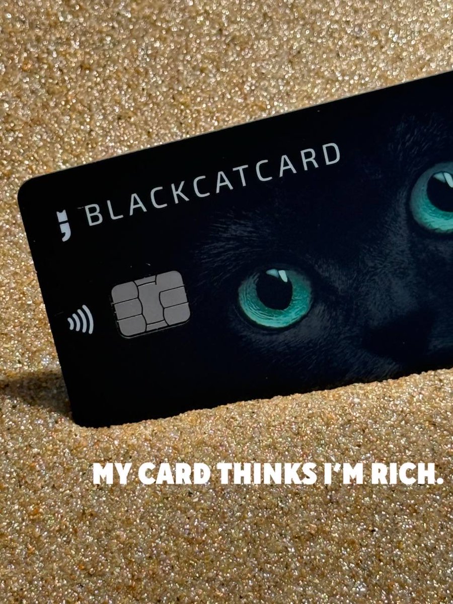 Blackcatcard's tweet photo. Summer is temporary, bad financial decisions are forever. 🤭💸
At least you’re getting cashback. Blackcat, link in bio. https://t.co/CaEYszs1jK