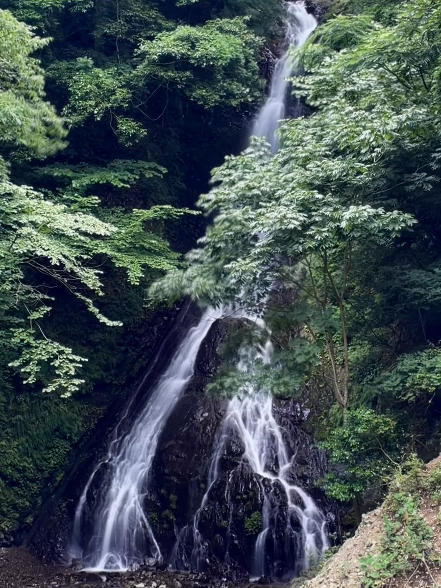 kedarakemanju's tweet photo. 今日の滝 https://t.co/1fFKFSYBXu