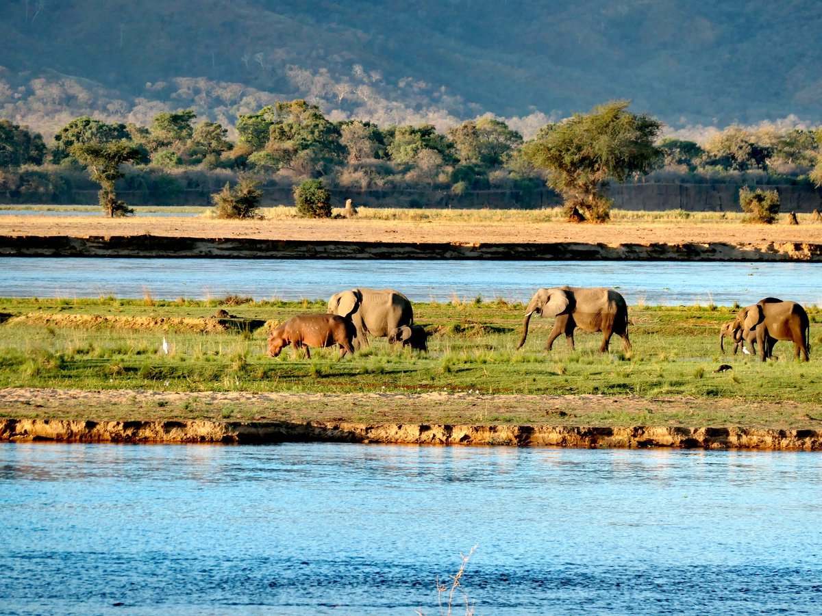 KennedyMar33798's tweet photo. From friendship to flourishing tourism, the Zimbabwe-China partnership continues to deliver!

Zimbabwe has proudly earned the Gold Award at the 2026 Chinese Tourist Welcome Awards in Beijing a clear sign that the country is winning the hearts of Chinese travellers. 

Strategic destination marketing, including the global spotlight on Victoria Falls and partnerships with leading Chinese content creators, is helping position Zimbabwe as a must-visit destination.

A strong bilateral relationship is opening new doors for tourism, investment and cultural exchange turning diplomatic ties into tangible opportunities.

#Zimbabwe #China #ZimbabweChinaRelations #Tourism #VisitZimbabwe #DestinationZimbabwe #VictoriaFalls #TravelChina #TourismExcellence #CulturalExchange #BrandZimbabwe #Vision2030
