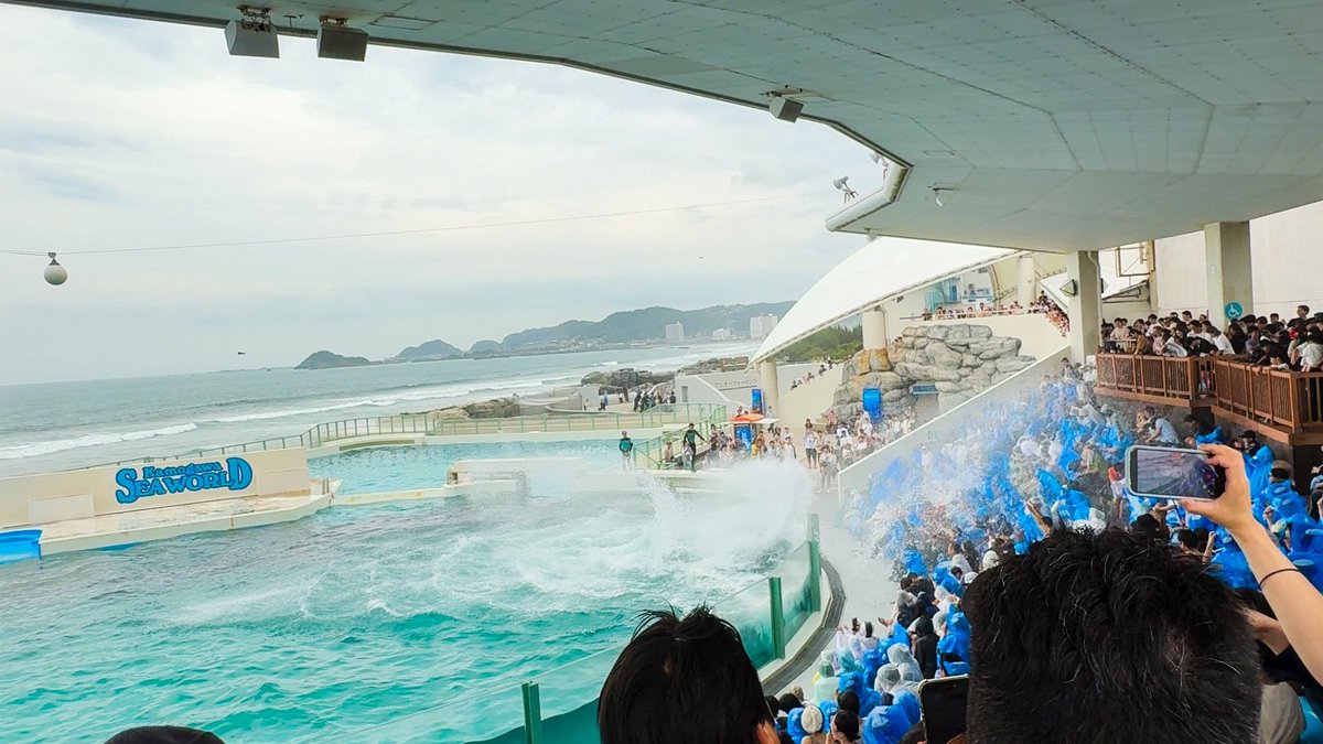 1986_1115's tweet photo. 「鴨シーのシャチの水掛けは容赦ないよ」って事前に聞いていたのだけど、想像を超えた激しさで笑った。バッシャバッシャと最上段付近まで勢いよく何度も何度も。なるほど確かに容赦ない。 https://t.co/sukK7td6VJ
