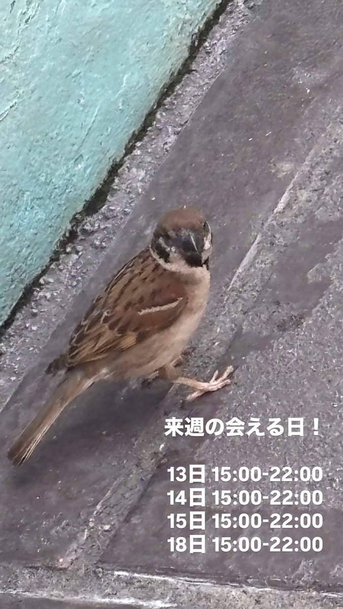 _3pu_u's tweet photo. 昨日投稿するの忘れてた！ https://t.co/AT3rzLkUTB