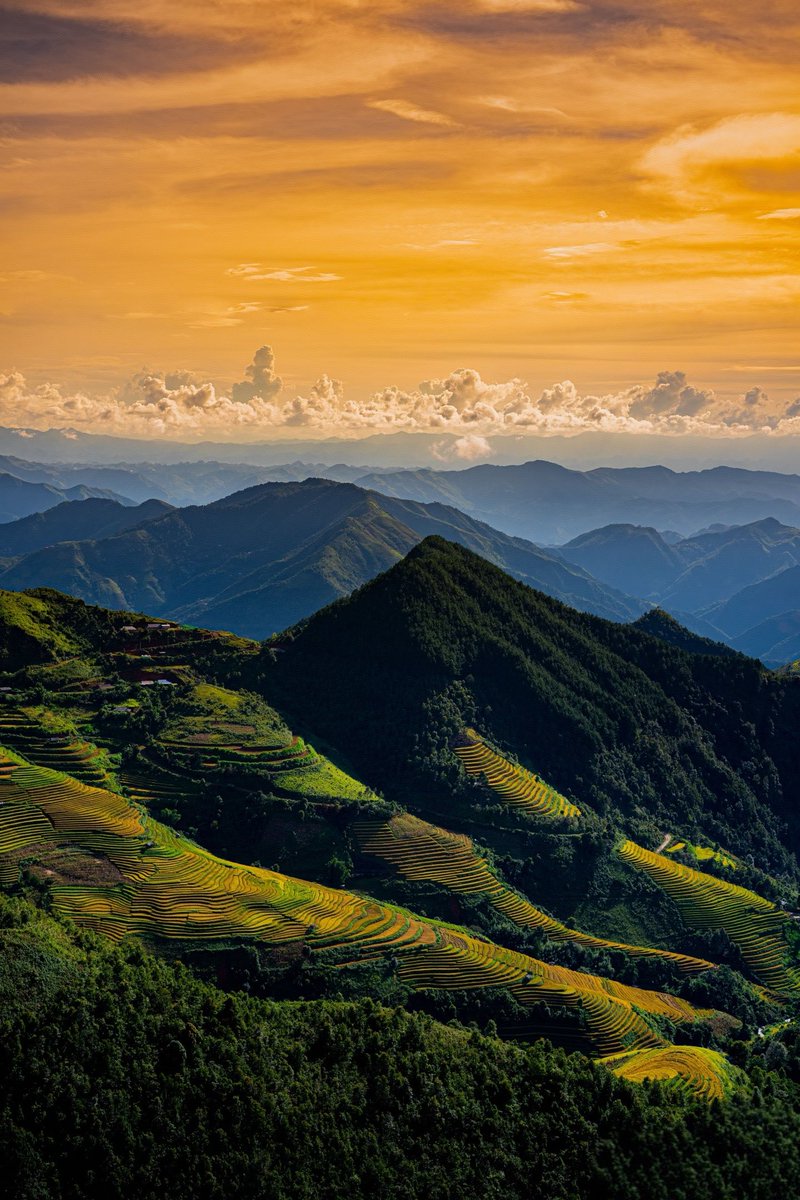 Van88711142's tweet photo. Golden sunset glow drapes layered terraced farmlands amid sea of clouds, revealing stunning rural natural beauty.
#TerracedFields #SunsetLandscape #ChineseCountryside https://t.co/bLGgfyF8ez