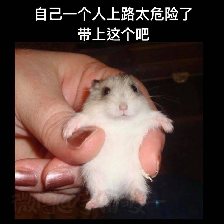 NOBDSHERE's tweet photo. https://t.co/UqNeocByG3