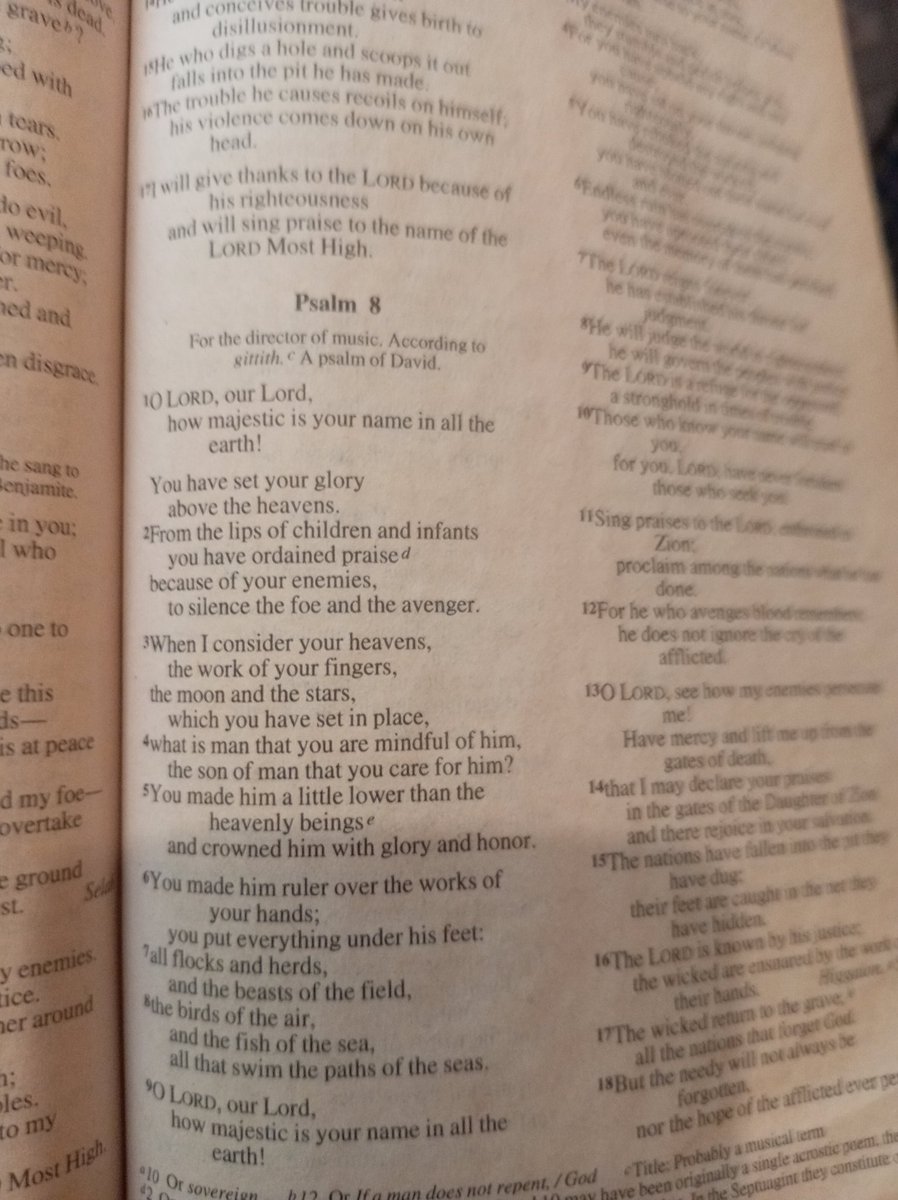 Willash999's tweet photo. Psalm 8 https://t.co/1TjDtCm0cD