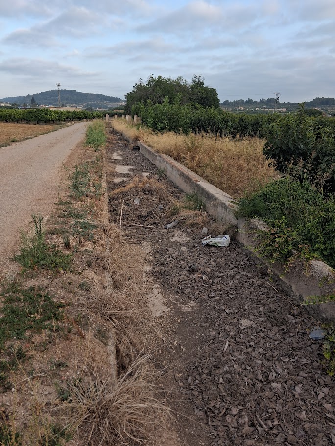 ToniCucarella's tweet photo. Qui més ha fet per destruir la nostra forma de vida han estat les institucions europees. La UE ha promogut la ruïna de llauradors i ramaders per afavorir grans empreses que cultiven fora d’Europa, Mercosur i similars. La nostra terra fèrtil s’abandona. Quina Europa? https://t.co/Q507mscd9D