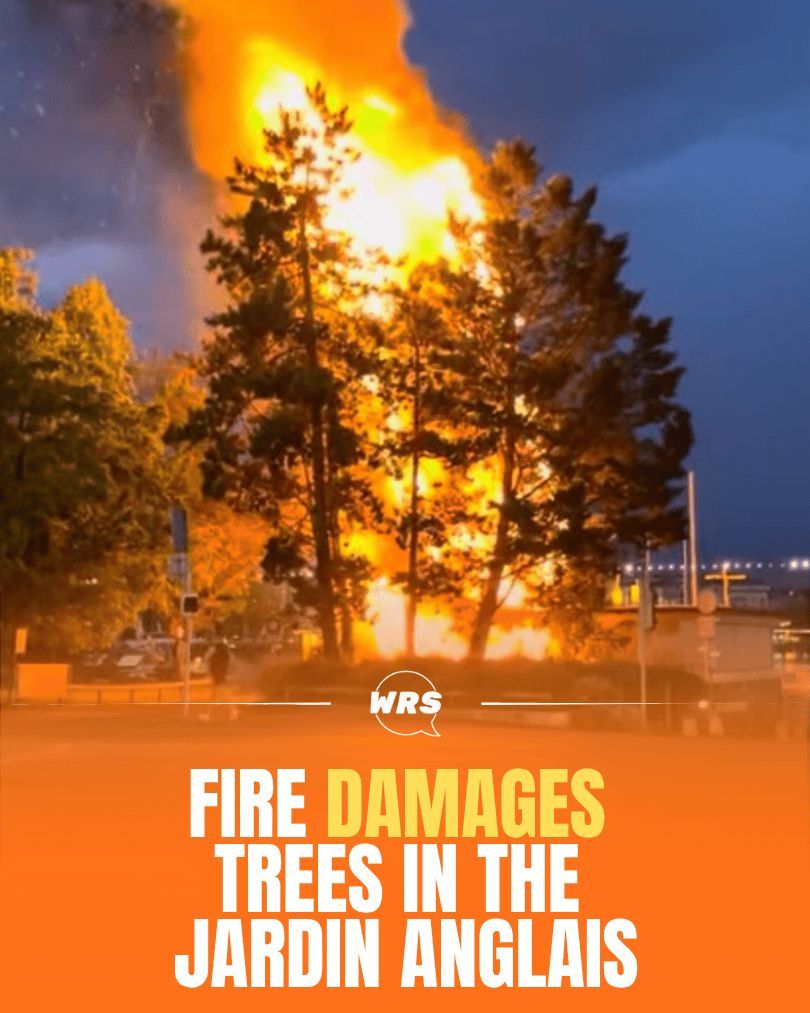 wrs's tweet photo. A fire tore through part of Geneva's Jardin Anglais on Saturday morning, gutting several trees and damaging a lakeside building used by the Mouettes ferry service. 

https://t.co/JkwDoQQ9rY https://t.co/ugvgtNW6cx