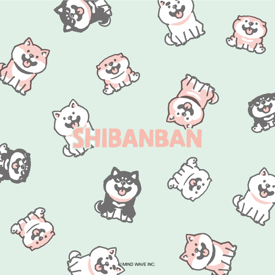 shibanban_mw's tweet photo. 散らかしばんばん

#しばんばん #柴犬 #shibainu https://t.co/bt1uHGyJAC