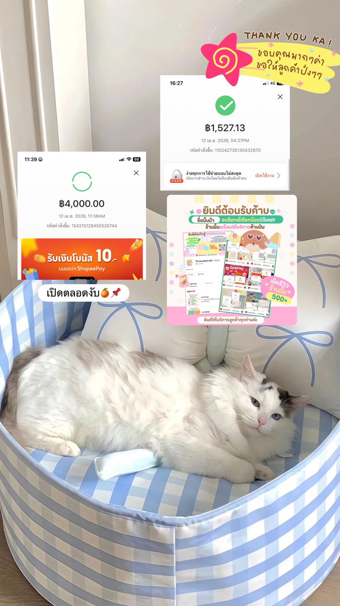 p_ppink1's tweet photo. มันไม่ได้อยู่ที่ขา แต่มันอยู่ที่ใจ ♡🧸യ 🍒

🚚🫧 Open Shop🌳 ꊞ✨💓

รับแลก ⟡ ·͜·♡
Shopee | Spaylater

ตอบตลอด 𝟮𝟰 ชม. 
🙏🏻ทักlineร้าน ตอบไว🏡

⊱⋅ ──────────── ⋅⊰
#spaylater #turemoney https://t.co/Fod2UhYkyg