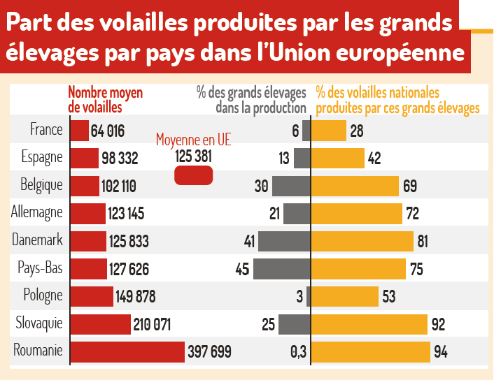 reussir's tweet photo. L’élevage français : une production à taille humaine https://t.co/TGj3Qy7KUa https://t.co/yThrsd1FsO