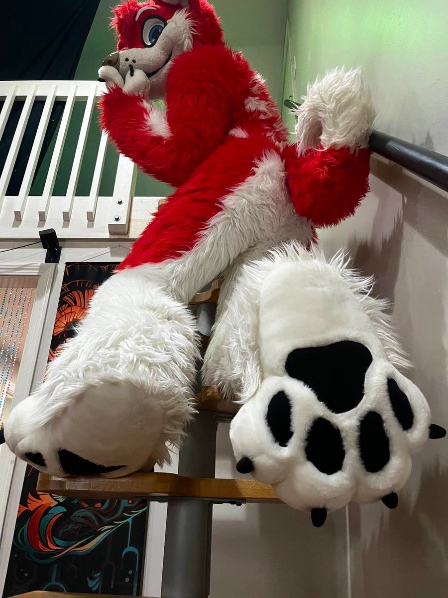 SiriusBlur's tweet photo. Have a very pawsitive Monday! 🐾 https://t.co/ZVPj7eDUes