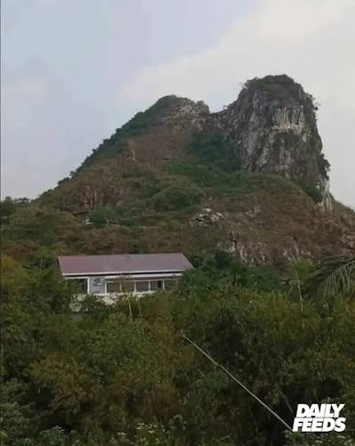 cellebrimbor_'s tweet photo. @tempodotco Ternyata akhir nya jadi mata2 buat ngeliat potensi alam di suatu daerah.

Sekarang puzzle nya tersusun kan, kenapa Kopdes dibangun di tempat 'yg tak semestinya', apalagi sampe di puncak gunung.

Karena memang jualan sembako bukan tujuan utama dari Kopdes. https://t.co/obu3aAg69u